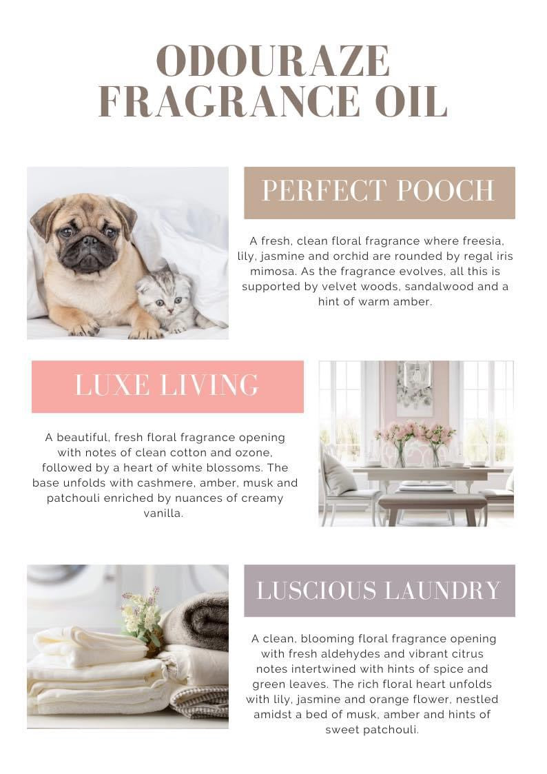 Pet odour sample box
