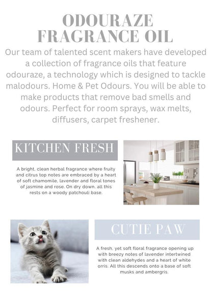 Pet odour sample box