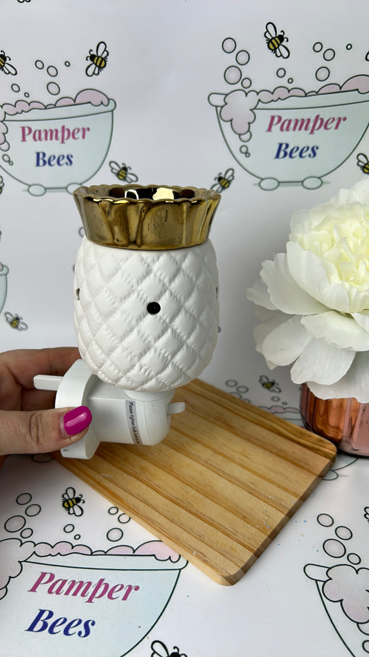 Electric Wax burners